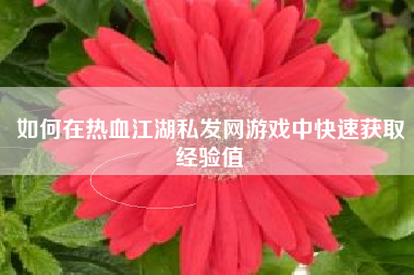 如何在热血江湖私发网游戏中快速获取经验值