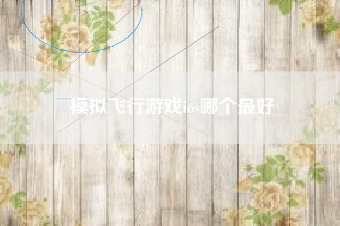 模拟飞行游戏ios哪个最好