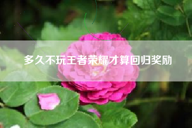 多久不玩王者荣耀才算回归奖励