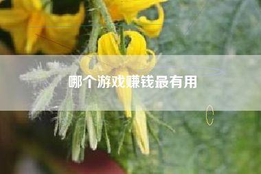 哪个游戏赚钱最有用