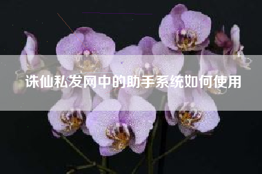 诛仙私发网中的助手系统如何使用