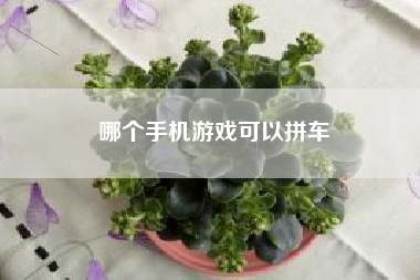 哪个手机游戏可以拼车