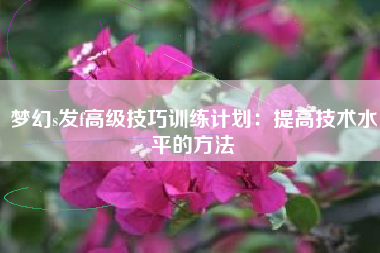 梦幻s发f高级技巧训练计划：提高技术水平的方法
