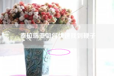 泰拉瑞亚如何快速找到鞭子