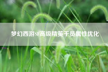 梦幻西游SF高级精英干员属性优化