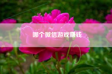 哪个微信游戏赚钱
