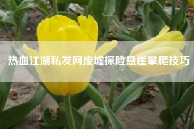 热血江湖私发网废墟探险悬崖攀爬技巧