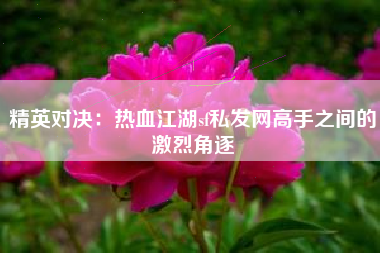 精英对决：热血江湖sf私发网高手之间的激烈角逐