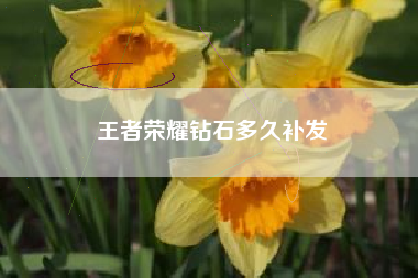 王者荣耀钻石多久补发