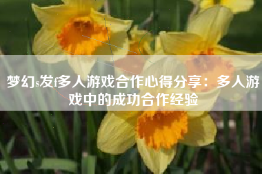梦幻s发f多人游戏合作心得分享：多人游戏中的成功合作经验