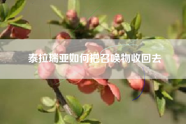 泰拉瑞亚如何把召唤物收回去