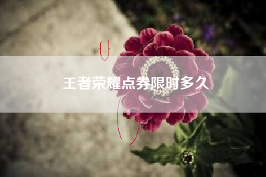 王者荣耀点券限时多久