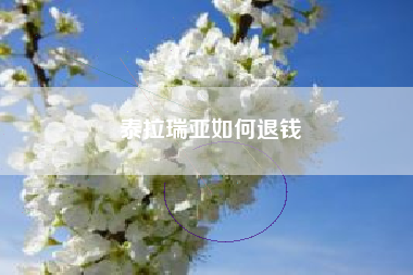泰拉瑞亚如何退钱