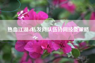 热血江湖sf私发网队伍协同技能策略