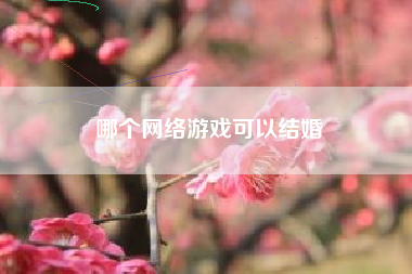 哪个网络游戏可以结婚