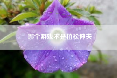 哪个游戏不是植松伸夫