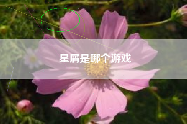 星屑是哪个游戏