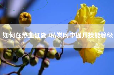 如何在热血江湖sf私发网中提升技能等级