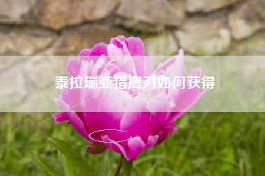 泰拉瑞亚猎鹰刃如何获得