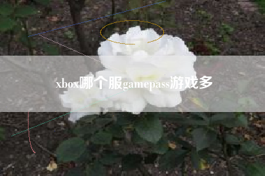 xbox哪个服gamepass游戏多