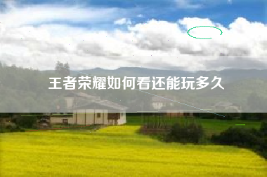 王者荣耀如何看还能玩多久