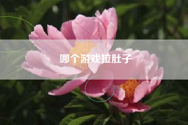 哪个游戏拉肚子