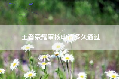 王者荣耀审核申请多久通过