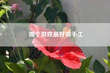 哪个游戏最好做手工