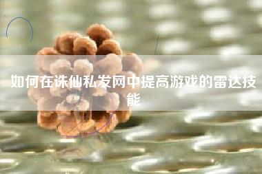 如何在诛仙私发网中提高游戏的雷达技能