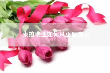 泰拉瑞亚如何从巫医购买