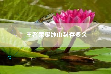 王者荣耀冰山封存多久