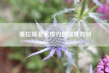泰拉瑞亚永夜刃的强度如何