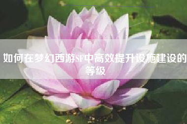如何在梦幻西游SF中高效提升设施建设的等级