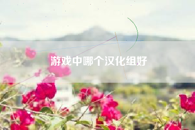 游戏中哪个汉化组好