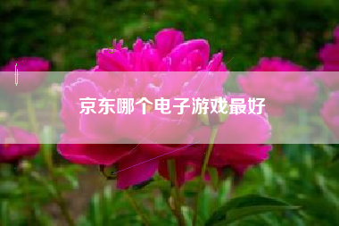 京东哪个电子游戏最好