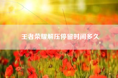 王者荣耀解压停留时间多久
