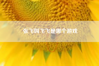 张飞叫飞飞是哪个游戏