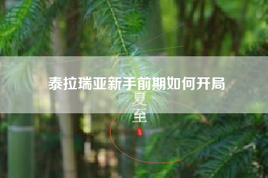 泰拉瑞亚新手前期如何开局