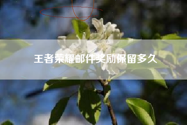 王者荣耀邮件奖励保留多久