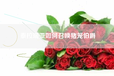 泰拉瑞亚如何召唤猪笼伯爵
