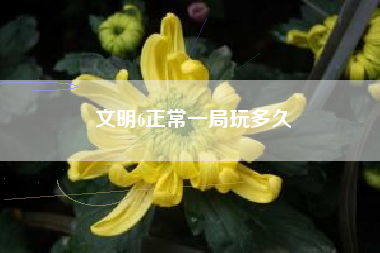文明6正常一局玩多久