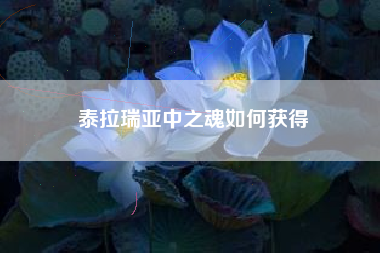 泰拉瑞亚中之魂如何获得