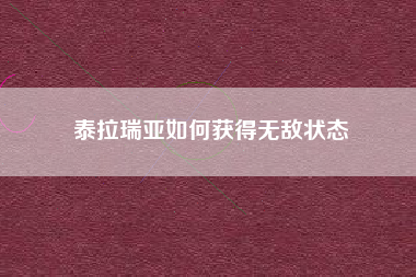 泰拉瑞亚如何获得无敌状态