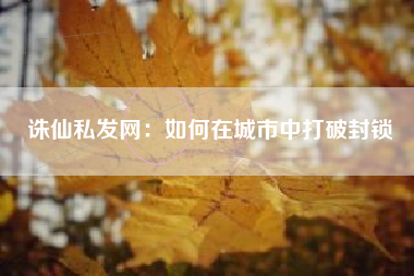 诛仙私发网：如何在城市中打破封锁