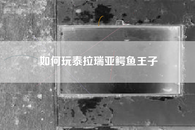 如何玩泰拉瑞亚鳄鱼王子