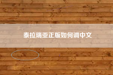 泰拉瑞亚正版如何调中文