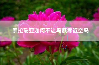 泰拉瑞亚如何不让鸟妖靠近空岛