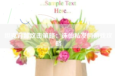 坦克背部攻击策略：诛仙私发网游戏攻略