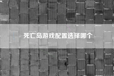 死亡岛游戏配置选择哪个