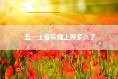 五一王者荣耀上架多久了
